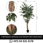 _Artificial Ficus Tree 21 Meters High with Plastic Pot & Moss Grass for Home and Garden Decoration In Dubai