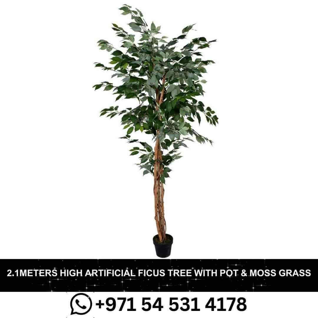 Artificial Ficus Tree with Plastic Pot and moss in Dubai