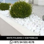 White Polished 3-5 cm Pebbles Natural Decorative Smooth River Rocks Gravel Size White Small Pebble Stone for Succulent Bonsai Potted-Plants Landscaping Fairy Garden Aquarium