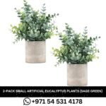 2-Pack Small Artificial Eucalyptus Plants (Sage Green)